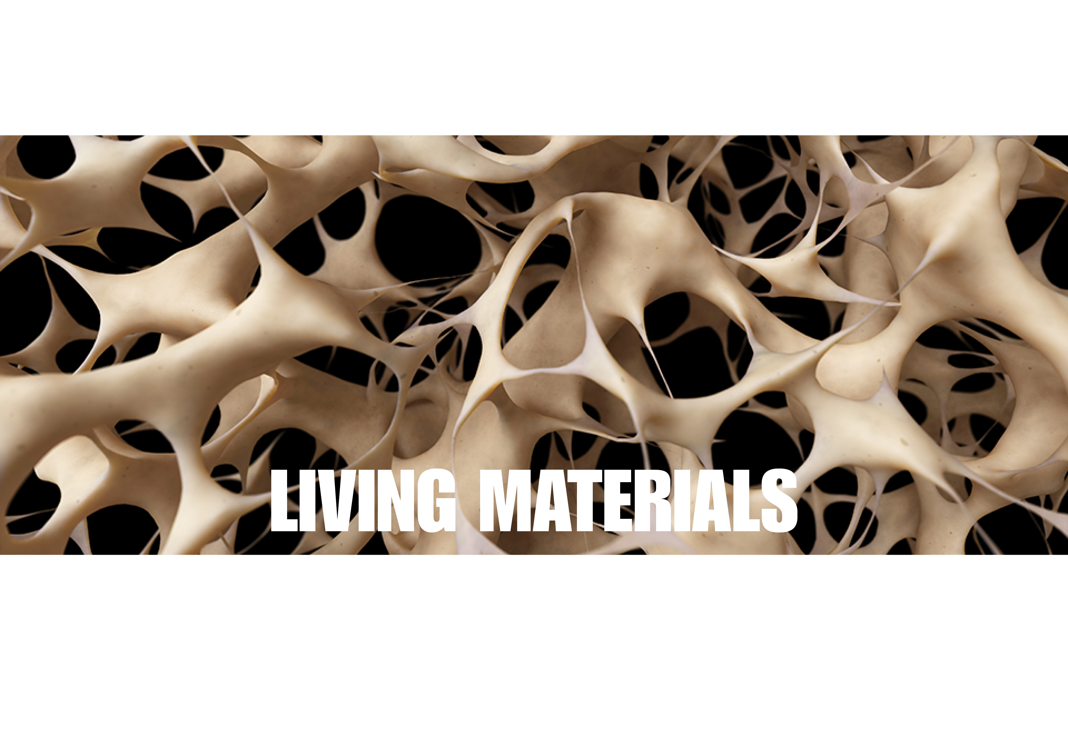 Living materials